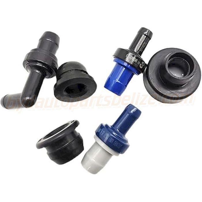 Engine Check Valve - BYD Spares